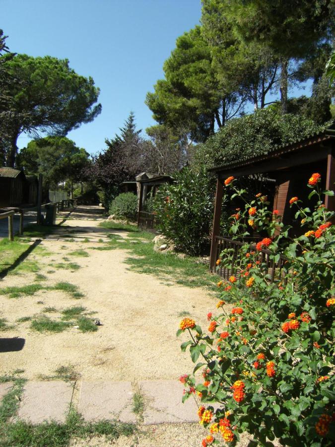 Bungalows Club Aire Libre Tossa de Mar Ngoại thất bức ảnh